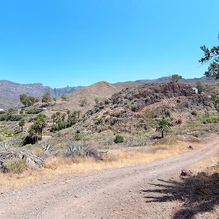 El Algarrobero * Santa Lucia De Tirajana